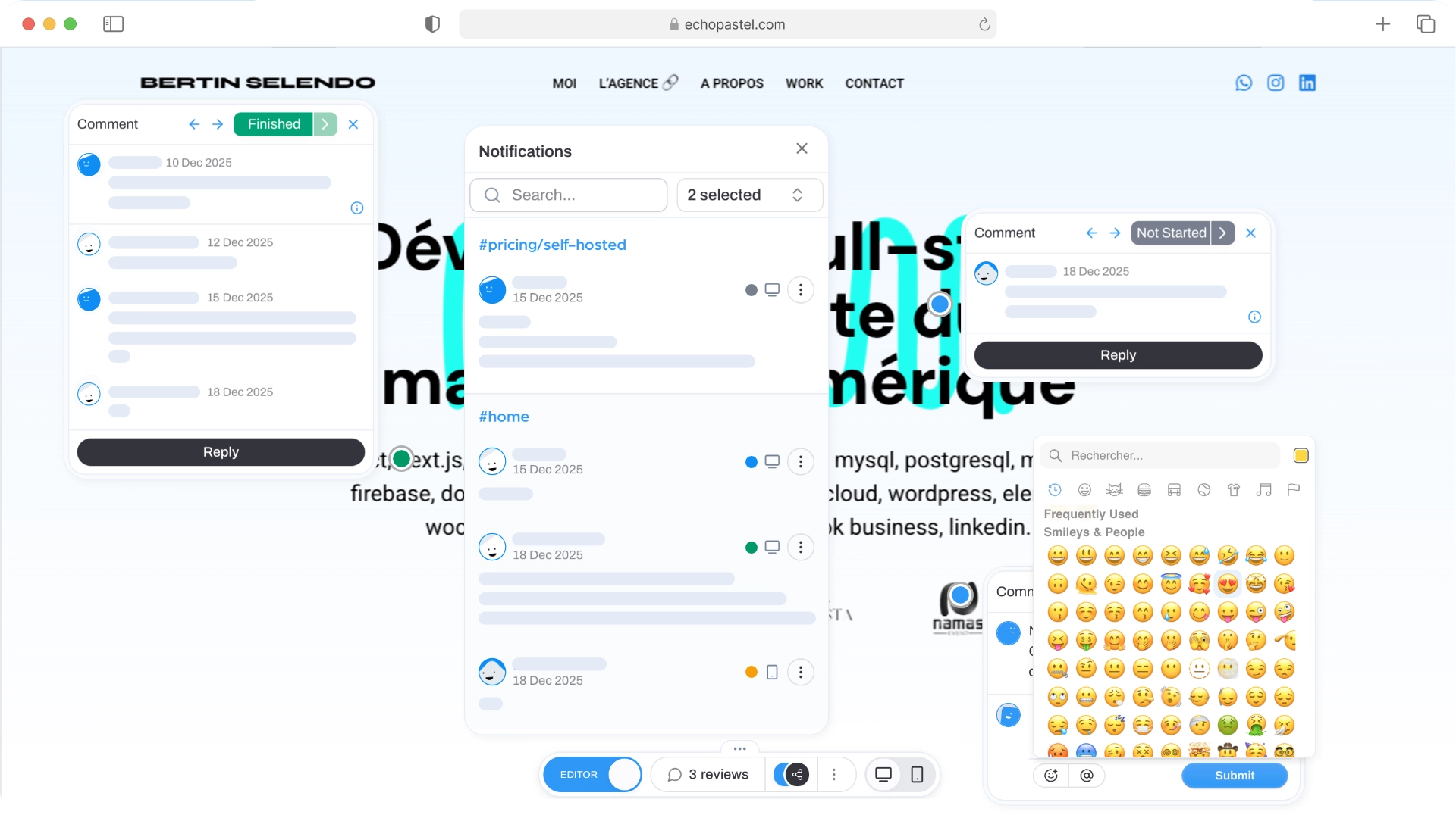 EchoPastel Dashboard showing visual annotations and collaboration features